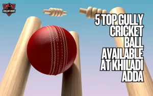 Gully Cricket Ball