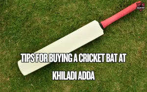 cricket bat
