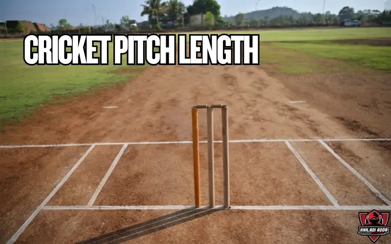 cricket pitch length