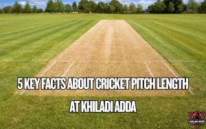 cricket pitch length