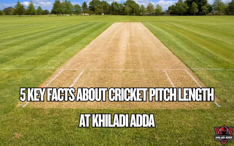cricket pitch length